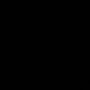 Meet your Posher, Raul